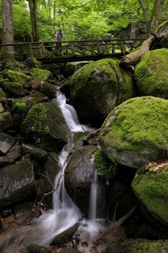 Germany, Black Forest, Schwarzwald, Baden-Württemberg, Sasbachwalden, succession of small waterfalls in the woods leading to Bischenberg summit