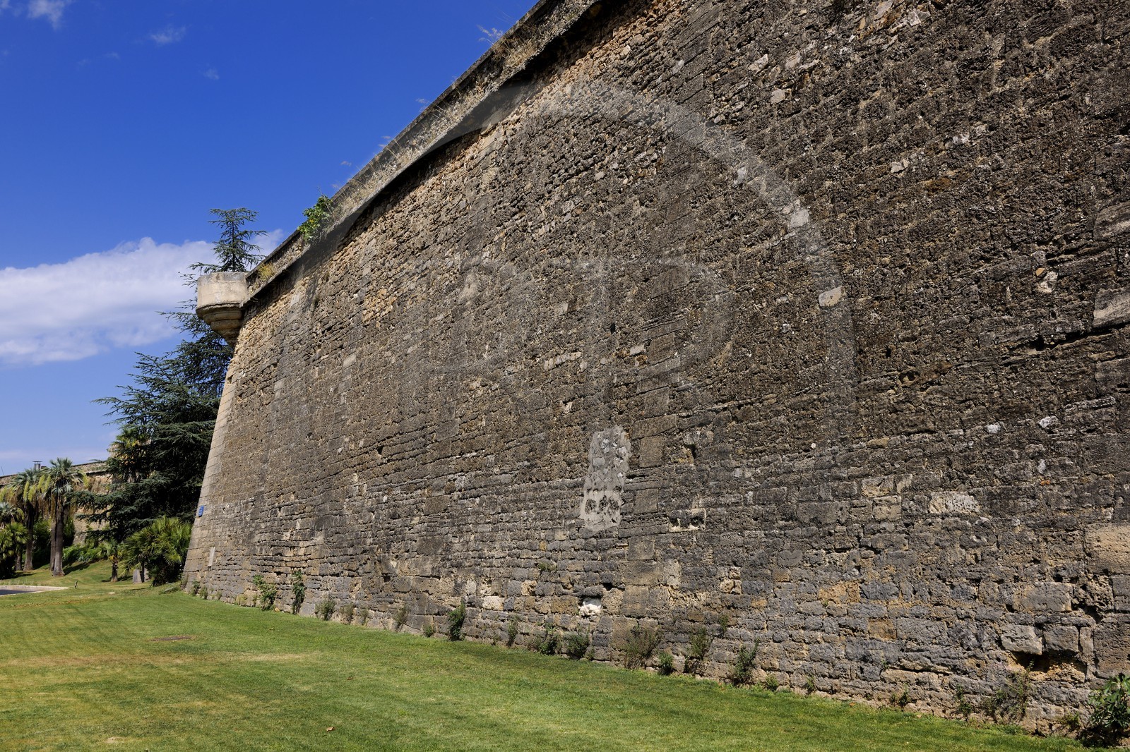 France, Herault, Montpellier, the ditches of the Citadel have been converted into gardens planted with palm