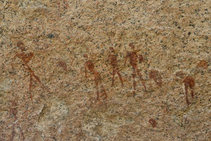 Namibie, région de Erongo, Damaraland, les monts Pondok à l'Est du Spitzkoppe dans le désert du Namib, peintures rupestres sous un surplomb granitique appelé le Paradis du Bushman qui auraient été peintes entre 4.400 av. JC et 100 après JC, représentation d'un groupe d'hommes