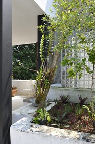 Sri Lanka, province de l'ouest, district de Colombo, Colombo, Lunuganga Estate, maison de l'architecte Geoffrey Bawa, le jardin terrasse