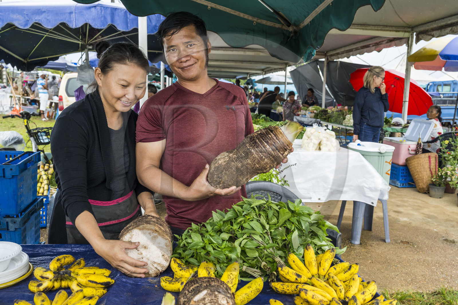 France, Guyane, Javouhey, marché du dimanche Hmong, réfugiés du Laos arrivés en 1978 qui se sont spécialisés dans la culture fruitière, Monica et son mari devant leur étal de racines de tarot, basilic thai et bananes