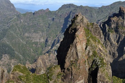 Portugal, Ile de Madère, randonneurs sur le sentier du Vereda do Areeiro entre les monts Pico Ruivo (1862m) et Pico Arieiro (1817m), vue depuis le belvédère de Ninho da Manta (nid de buse) sur la chaine de montagnes centrale