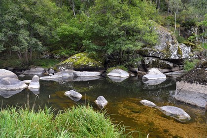 France, Lozere (48), Parc naturel régional de l'Aubrac (Aubrac Regional Nature Park), Saint Juery, the gorges of Bes river