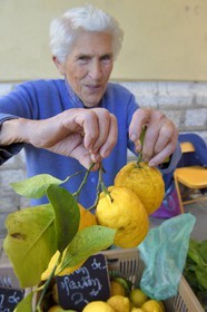 France, Alpes-Maritimes (06), Menton, marché couvert, halle municipale, la productrice Julie vend ses citrons de Menton