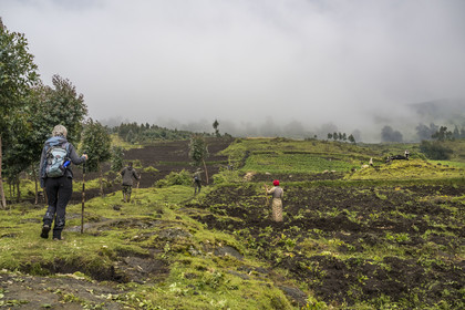 Rwanda, Province du Nord, District de Musanze (Ruhengeri), garde et pisteur du Parc accompagnant une randonneuse sur les pentes volcaniques du mont Karisimbi dans les montagnes des Virunga en bordure du Parc national des Volcans où vivent les gorilles, les derniers champs cultivés avant la forêt
