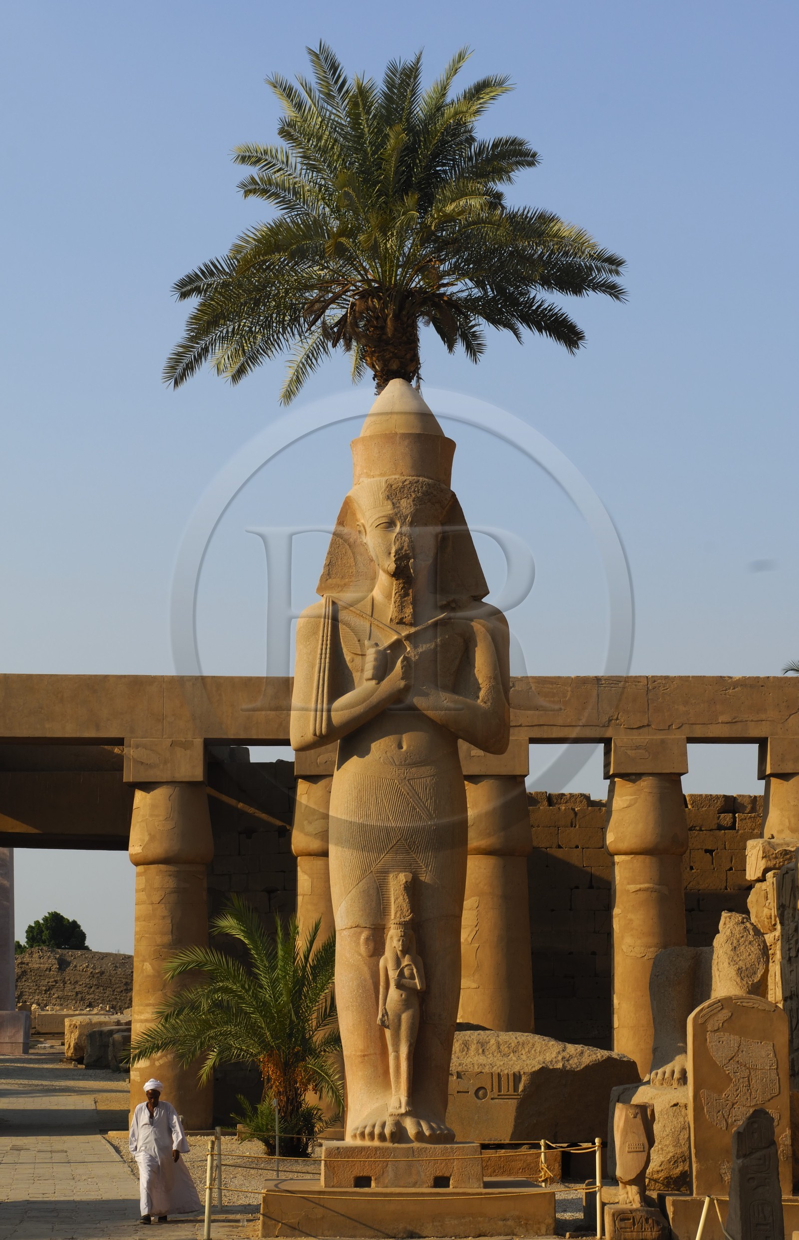 Egypte, Haute Egypte, vallée du Nil, Louxor, Karnak, classé Patrimoine Mondial de l'UNESCO, colosse de Ramses II