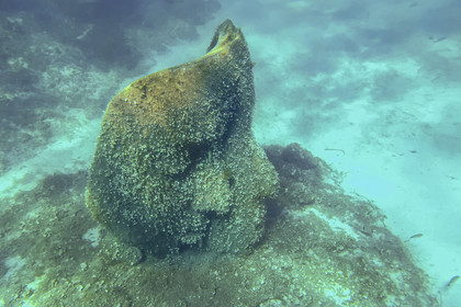 France, Alpes-Maritimes, Cannes, Lerins Islands, Sainte-Marguerite island, the underwater ecomuseum made up of monumental statues by the artist Jason deCaires Taylor, molded according to the faces of 6 inhabitants of Cannes and submerged at a distance ranging from 84 to 132 meters from the shore for a depth of 3 to 5 meters