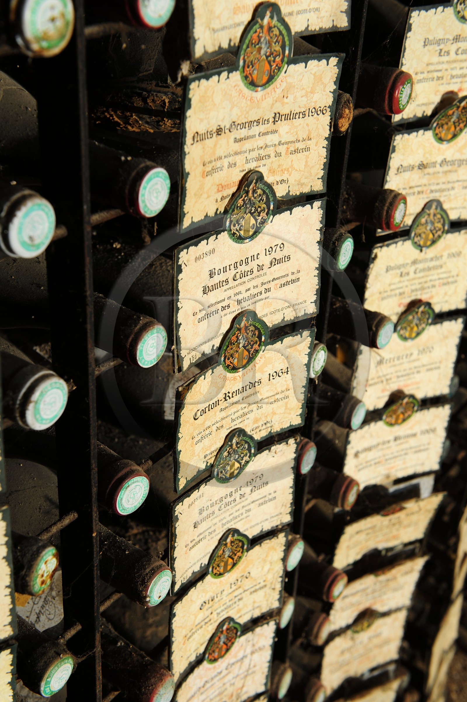 France, Côte-d'Or (21), le Château du Clos-de-Vougeot (vignoble des Côtes de Nuit), collection de grands crus