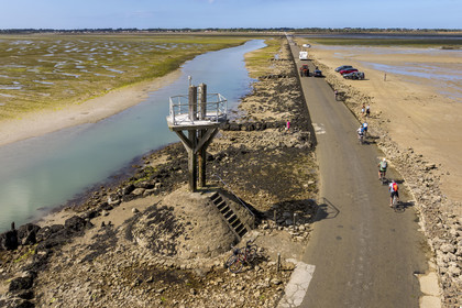 France, Vendée (85), île de Noirmoutier, Barbatre, cyclistes sur le passage du Gois, chaussée submersible qui relie l'île au continent à marrée basse, un des refuges sur la gauche (vue aérienne)