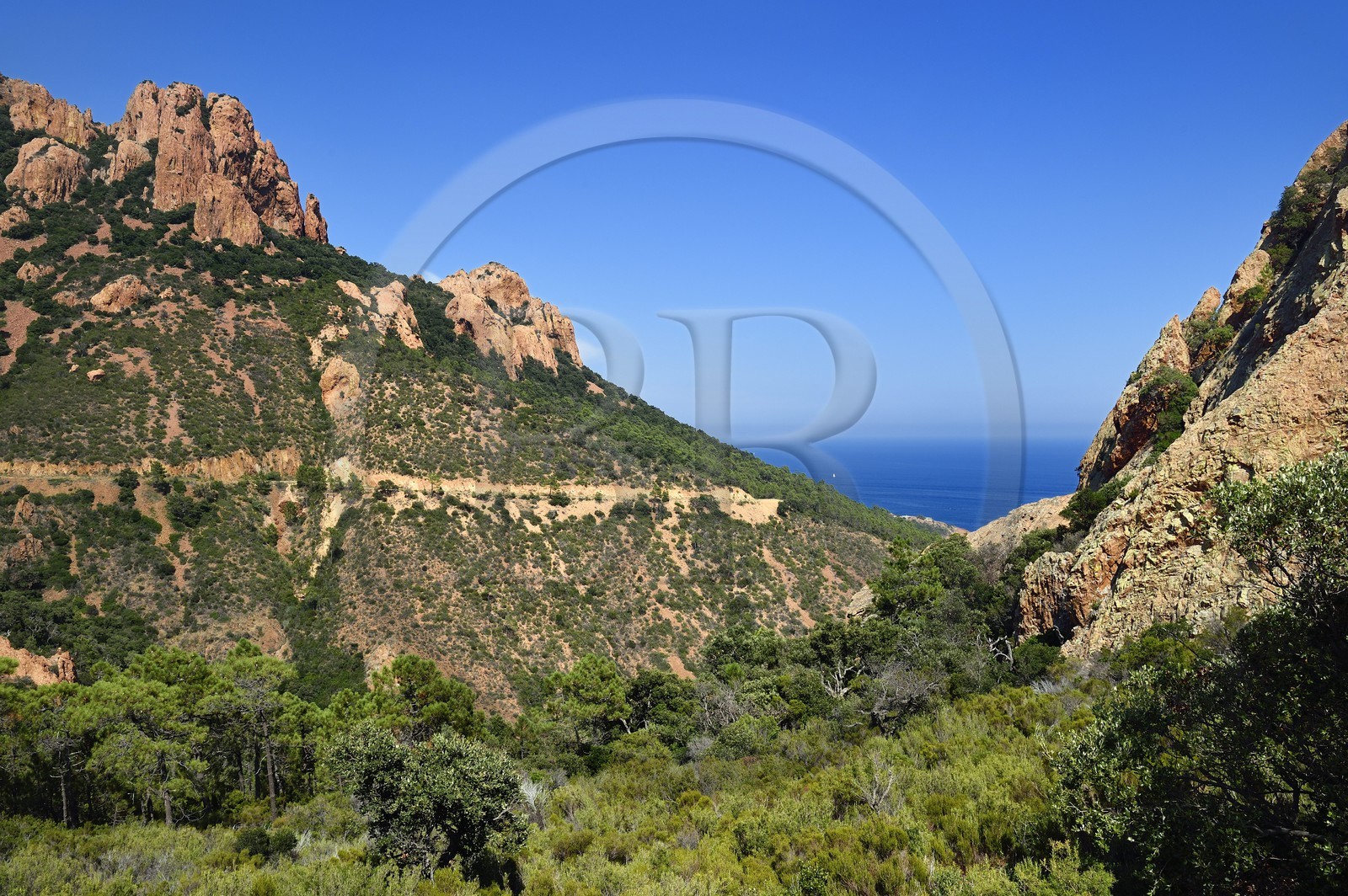 France, Var (83), Agay commune de Saint-Raphaël, massif de l'Estérel, le Pic du Cap Roux