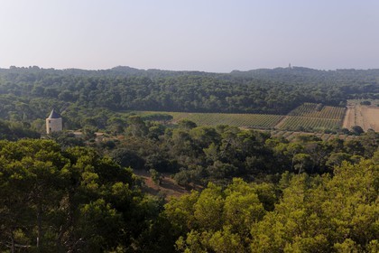 France, Var (83), Iles d'Hyères, parc national de Port-Cros, île de Porquerolles, Le Moulin du Bonheur est un vieux moulin à vent provençal datant du XVIIIème siècle