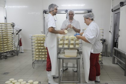 France, Côte d'Or (21), Brochon, entreprise de fromage Gaugry