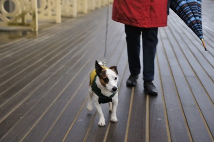 France, Calvados (14), Pays d'Auge, Deauville, les célèbres Planches sur la plage