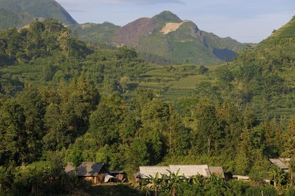 Vietnam, province de Lao Cai, région de Bac Ha, ferme et culture du maïs