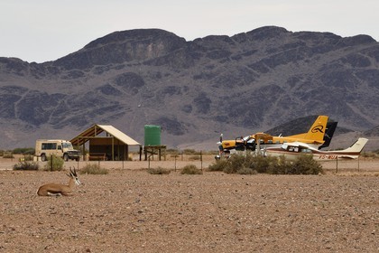 Namibie, région de Hardap, désert du Namib à l'Est du parc national Namib Naukluft vers Sossusvlei, petit aérodrome privé et springbok (antidorcas marsupalis)