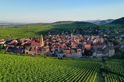France, Haut-Rhin (68), Route des vins d'Alsace, Riquewihr, labellis