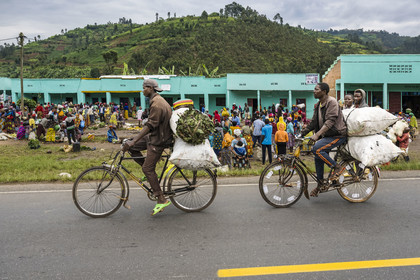 Rwanda, Province du Nord, District de Musanze (Ruhengeri), jour de marché à Muryabazira sur la Route Nationale 4 entre Kigali et Ruhengori, transport de gros sacs sur une bicyclette, les bicyclettes sont le principal moyen de transport local