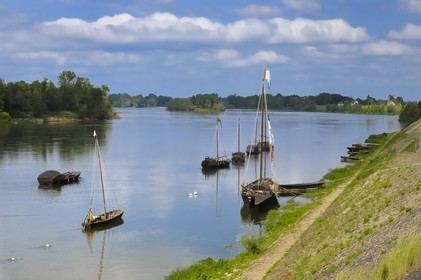 France, Indre et Loire, Loire Valley listed as World Heritage by UNESCO, edges of the Loire river in Brehemont port