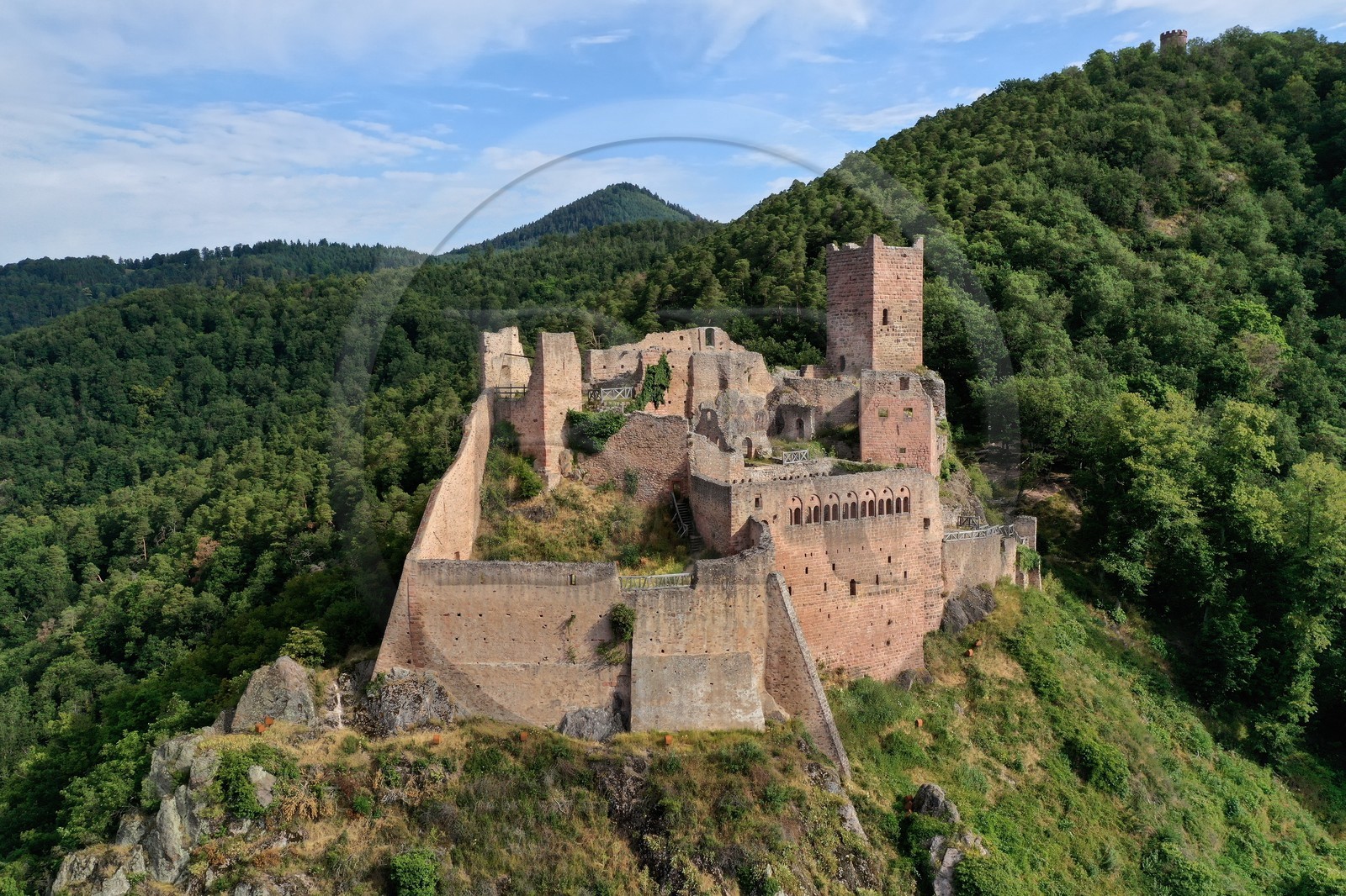 France, Haut-Rhin (68), Route des vins d'Alsace, Ribeauvill