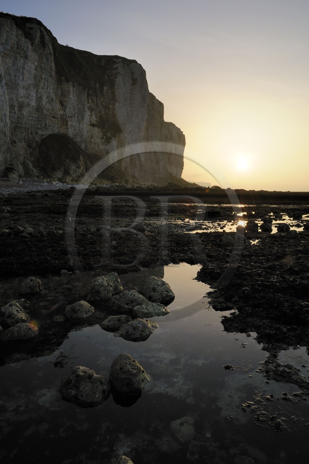 France, Seine-Maritime (76), Côte d'Albâtre, Vattetot-sur-Mer, les falaises et la plage à marée basse