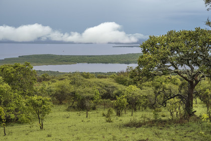 Rwanda, Parc national de l'Akagera, le lac Ihema vu depuis le site de campement de Muyumbu