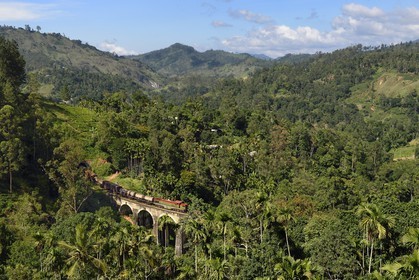 Sri Lanka, Province d'Uva, train sur la voie de chemin de fer dans la région montagneuse de la culture du thé entre Badulla et Ella, le Pont aux Neuf Arches (1921) non loin de Ella