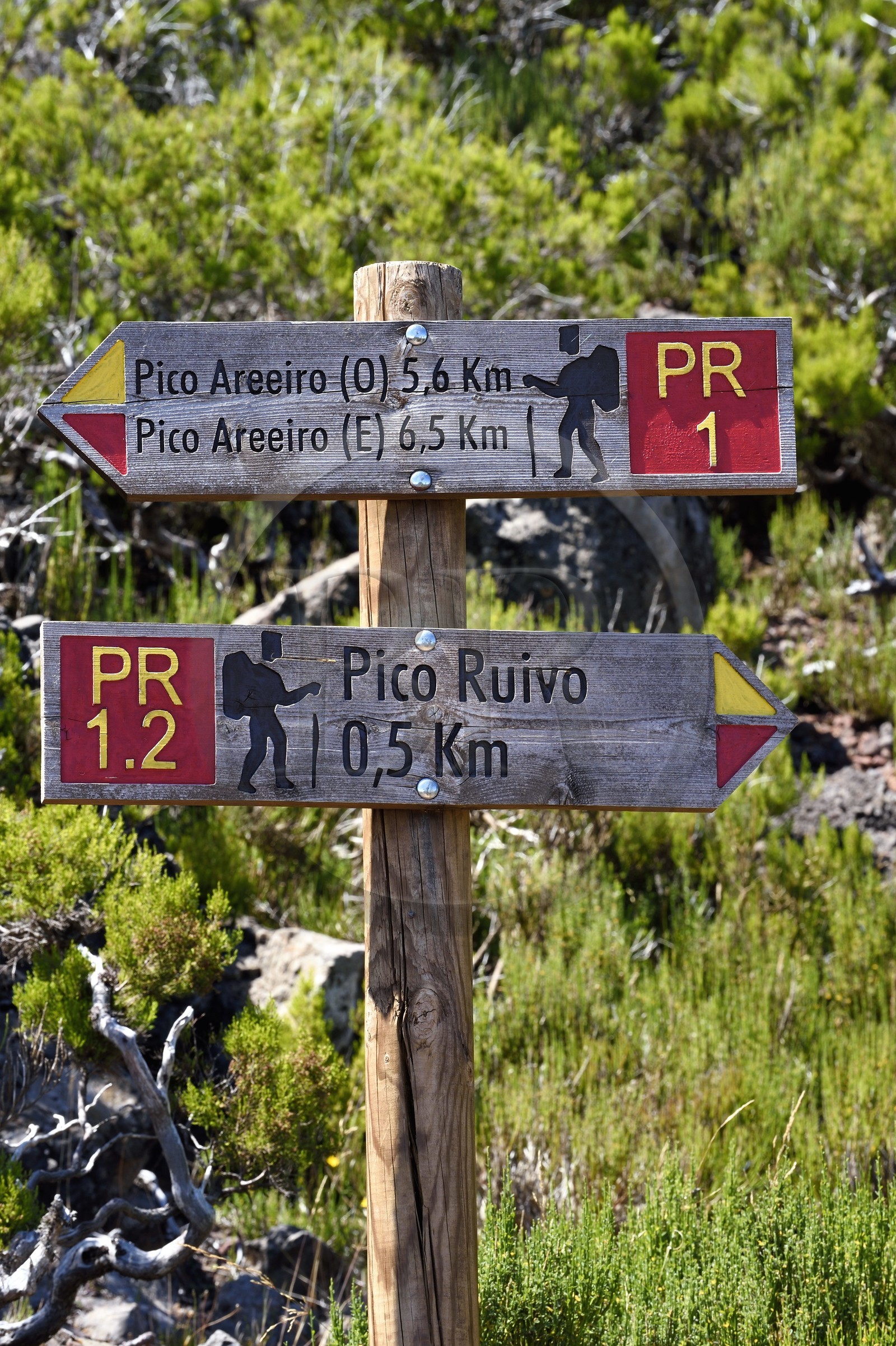 Portugal, Ile de Madère, randonnée sur le Vereda do Areeiro entre les monts Pico Ruivo (1862m) et Pico Arieiro (1817m), panneaux de directions de randonnées