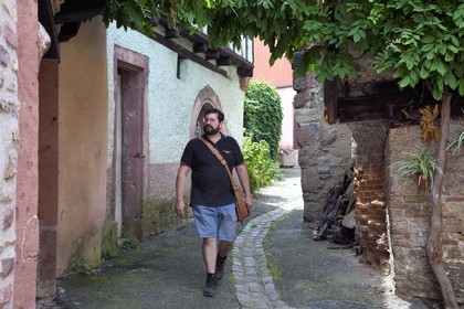 France, Haut-Rhin (68), Route des vins d'Alsace, Ribeauvillé, Guillaume Seiller, vice-président de l’association de conservation et de restauration des trois châteaux de Ribeauvillé