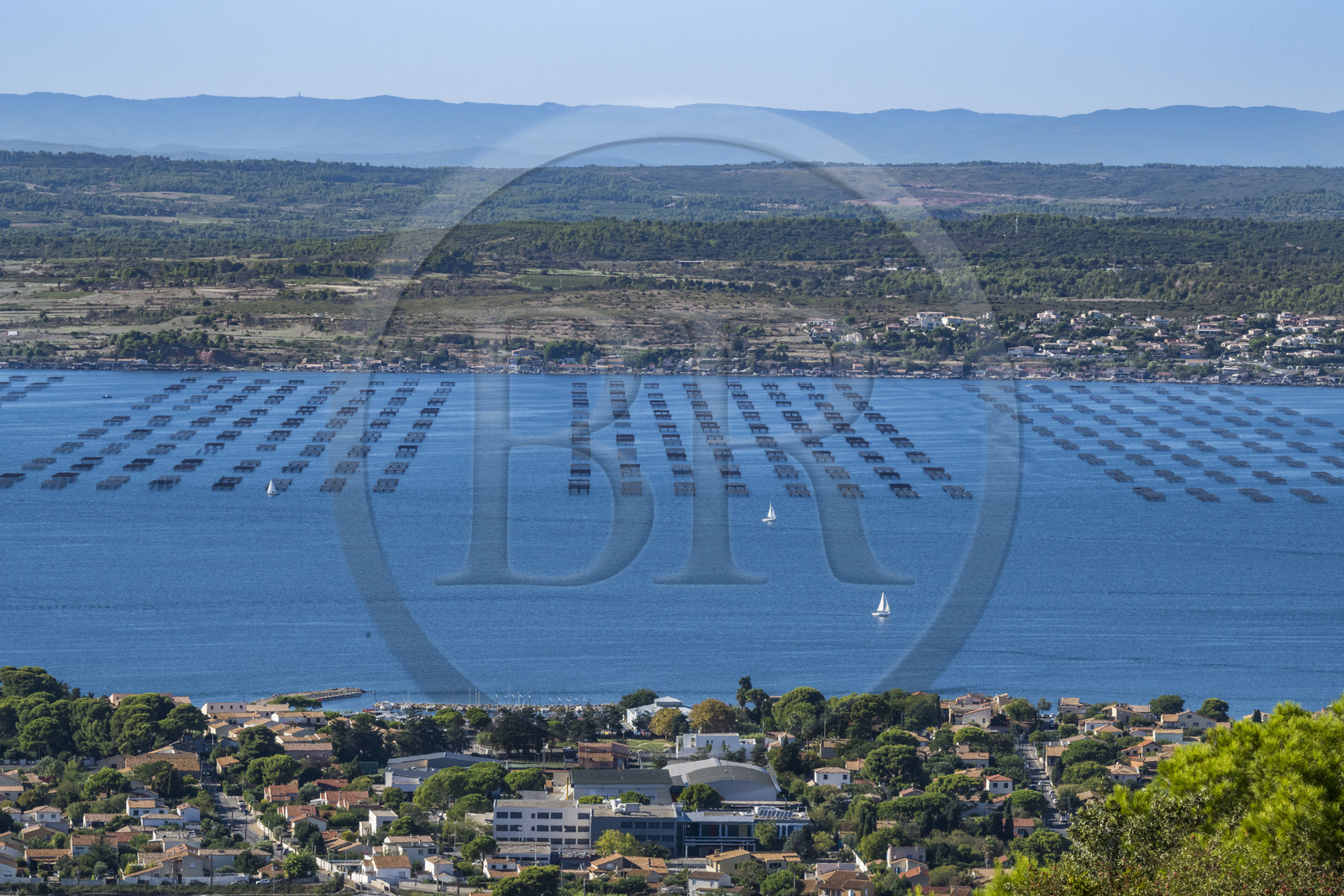 France, Hérault (34), Sète, l'étang de Thau vu depuis le Mont Saint-Clair