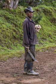 Rwanda, Province de l’Ouest, Gisuma, retour du champ pour Domitien armé de sa machette