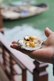 Vietnam, Quang Ninh Province, Halong Bay, listed as World Heritage by UNESCO, fishing floating village of Vong Vieng, Spica pearl farm