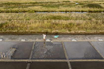 France, Charente-Maritime (17), Ile d'Oléron, Saint-Georges-d'Oléron, cueillette artisanale de la fleur de sel avec une lousse à fleur par le saunier Samuel Barbereau (vue aérienne)