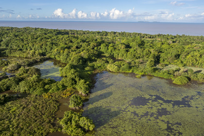 France, French Guiana, Kourou, wetlands, forests and savannas protected within the space centre and managed by the National Forestry Office (ONF), the Iles du Salut in the background (aerial view)