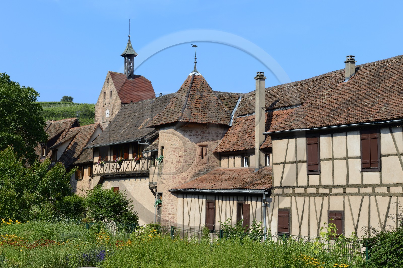 France, Haut-Rhin (68), Riquewihr, labellisé Les Plus Beaux Villages de France, les anciens remparts et la facade arrière du Dolder