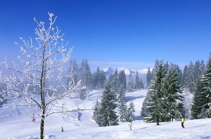 France, Haute-Savoie (74), les portes du Soleil en hiver, le domaine skiable de Morzine et les Gets