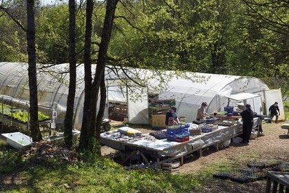 France, Charente (16), Souffrignac, Les Jardins du Bandiat, une ferme spécialisée maraîchage Bio et labellisée Agriculture Biologique fonctionne au travers d'un chantier d'insertion créé par l'association CIDIL