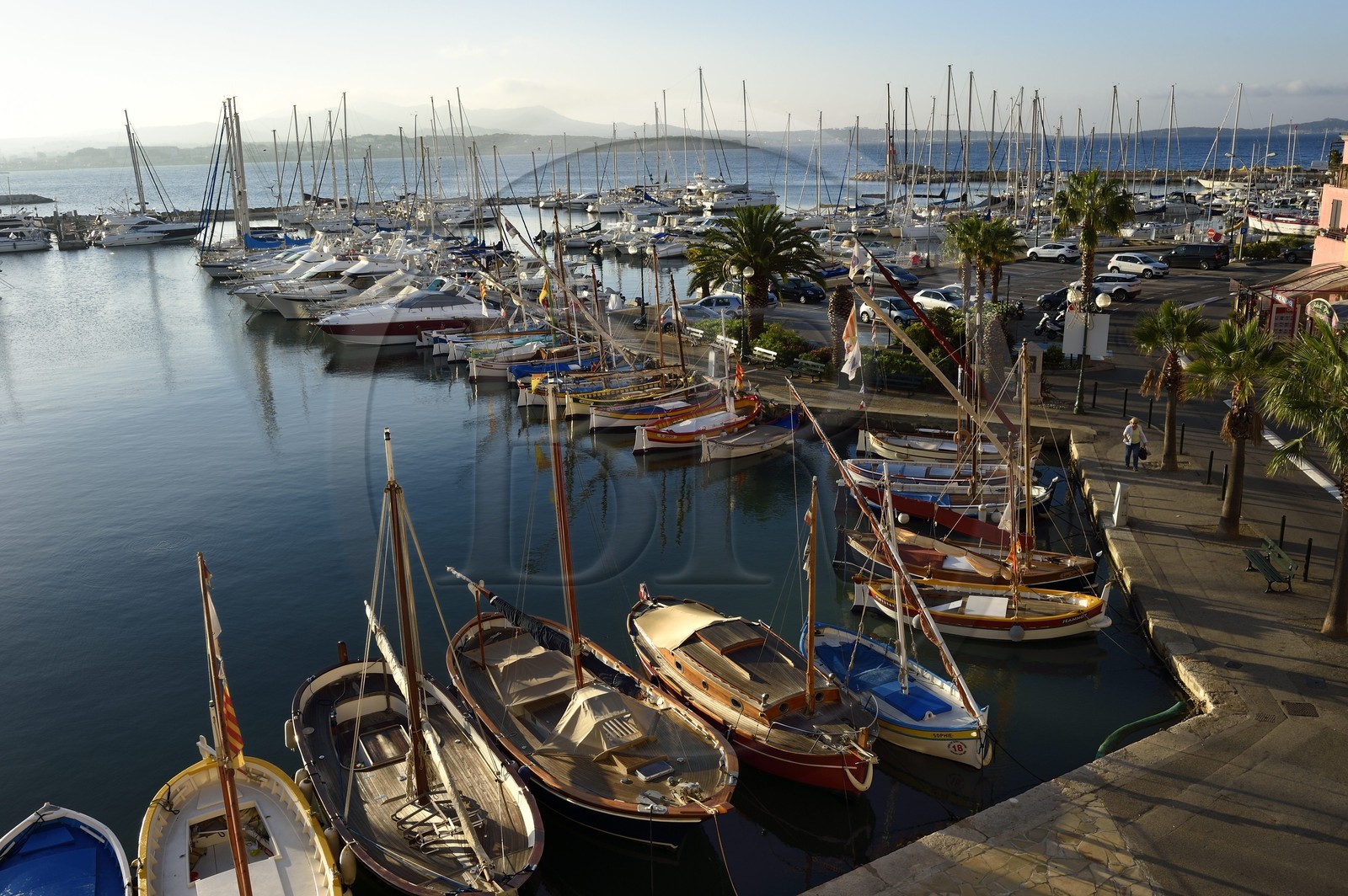 France, Var (83), Sanary-sur-Mer, barques traditionnelles de peche appelées pointus sur le port