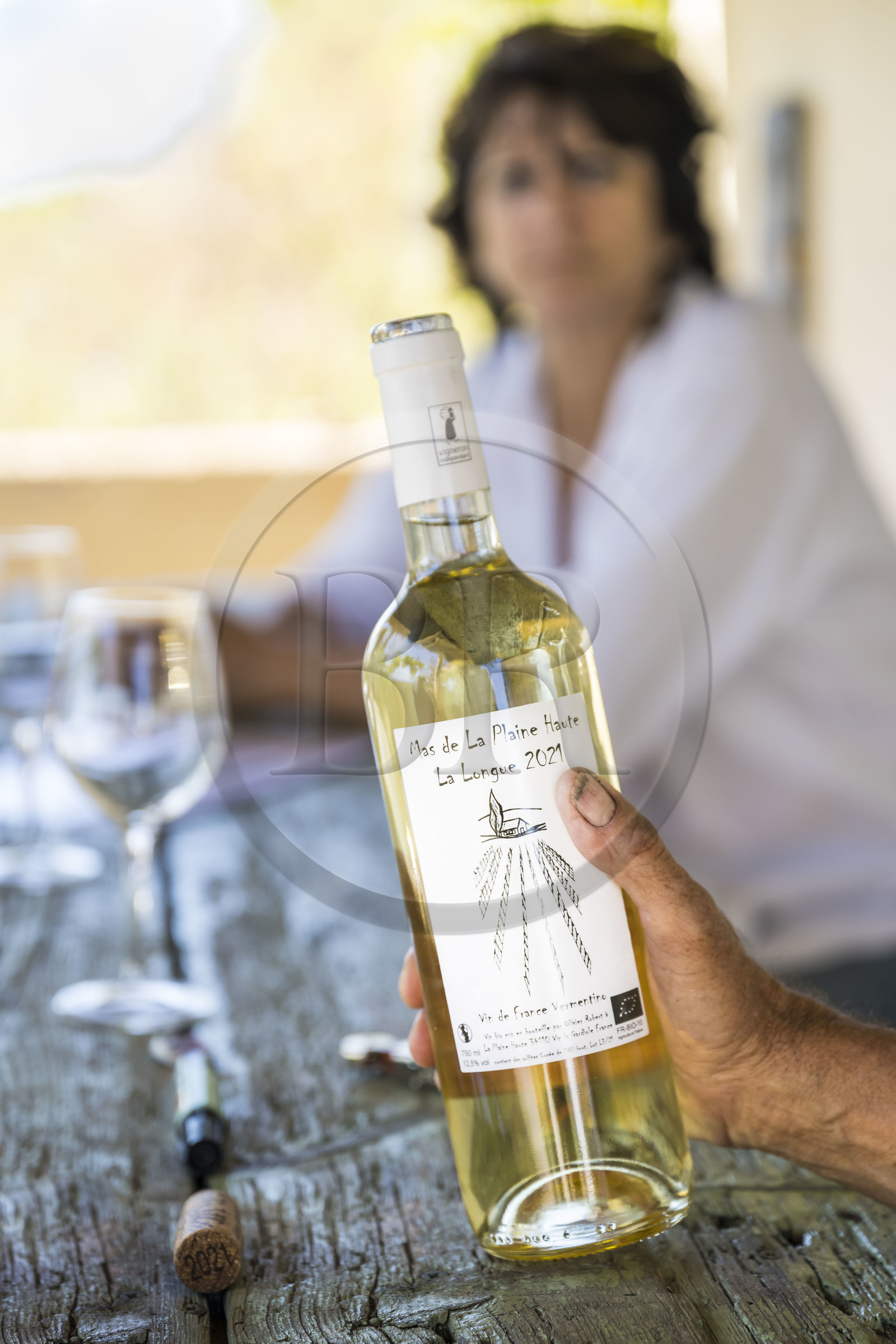 France, Hérault (34), Vic-La-Gardiole, Mas de la Plaine Haute, dégustation de vin chez le viticulteur Olivier Robert sur la terrasse de son mas