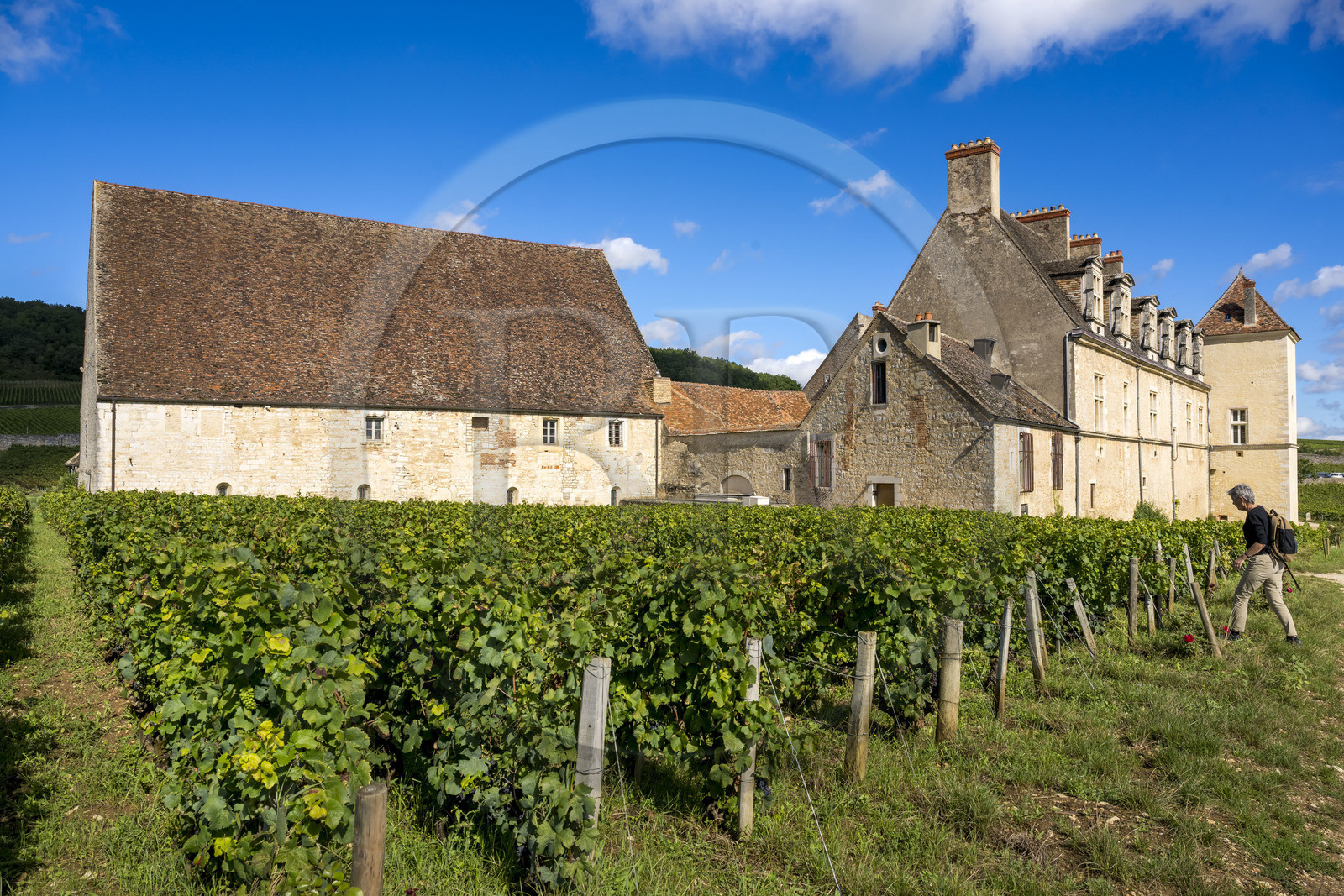 France, Côte-d'Or (21), Paysage culturel des climats de Bourgogne classés Patrimoine Mondial de l'UNESCO, Route des Grands Crus, vignoble de la Côte de Nuits, Vougeot, le Chateau du Clos de Vougeot