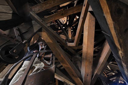 France, Paris, ile de la Cite, Notre-Dame Cathedral, the framework called the forest