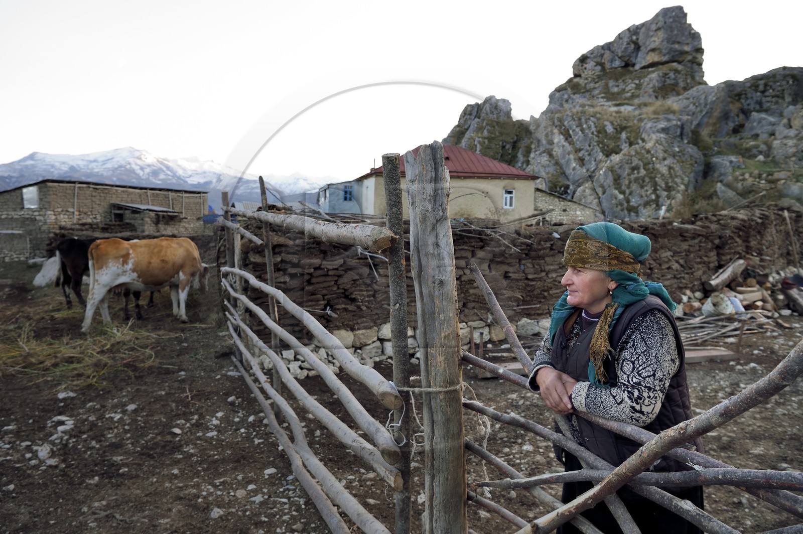 Azerbaïdjan, région de Quba (Guba), chaine de montagne du Grand Caucase, village de Giriz, la fermière Dilshad