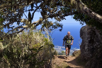 France, Reunion island (French overseas department), Reunion National Park listed as World heritage by UNESCO, La Possession, around village of Dos d'Ane, François Gaulin on the Roche Bouteille hike by the Cap Noir trail