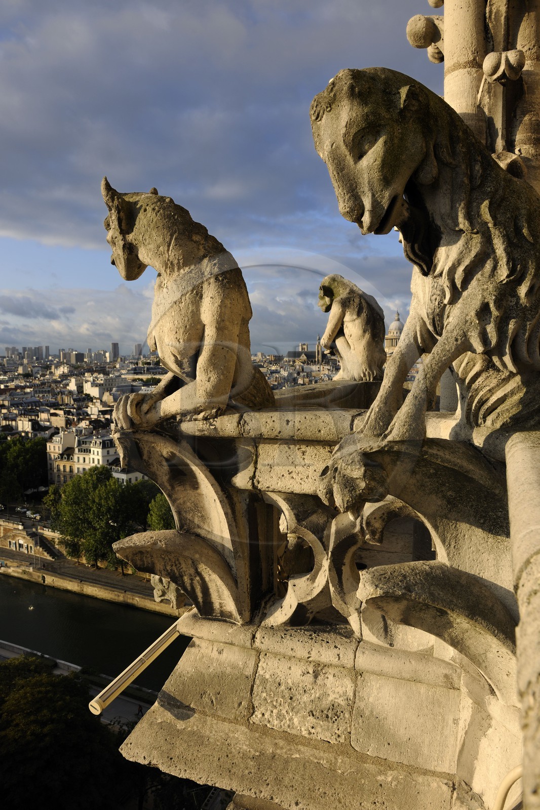 France, Paris (75), les rives de la Seine classées Patrimoine Mondial de l'UNESCO, île de la Cité, la cathédrale Notre-Dame, les chimères de la Tour Sud observent la ville
