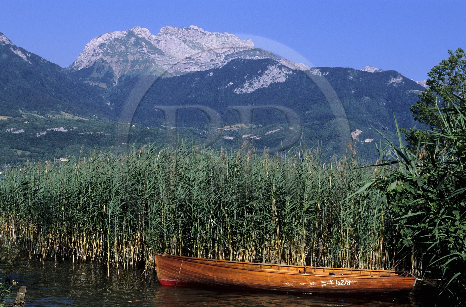 France, Haute-Savoie (74), bords du lac d'Annecy à Saint-Jorioz, barques et roseaux