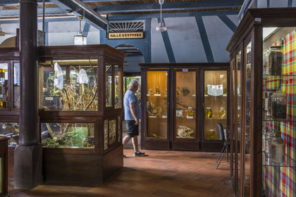 France, Guyane, Cayenne, musée départemental Alexandre-Franconie