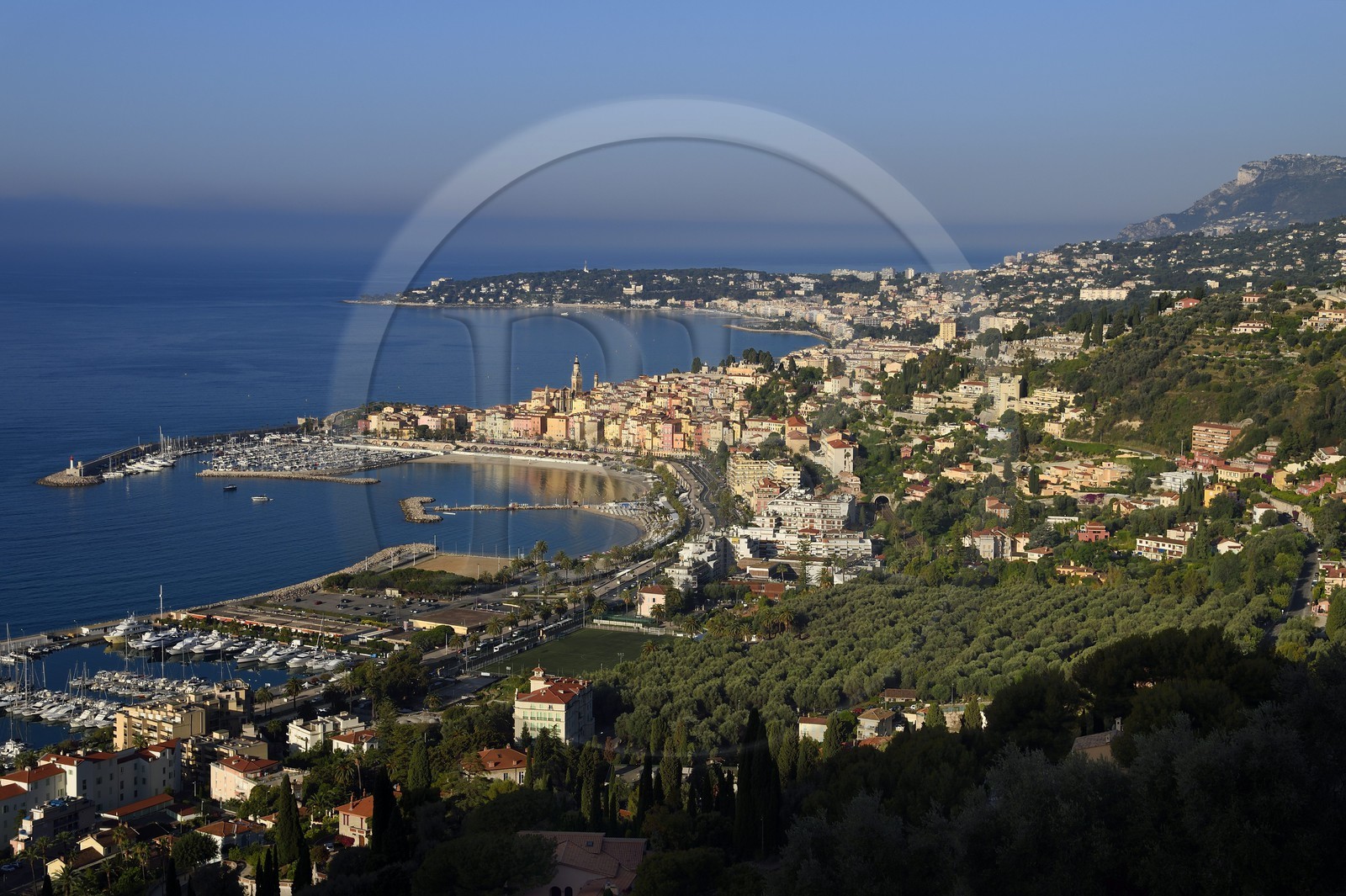 France, Alpes-Maritimes (06), Menton, la vieille ville dominée par la Basilique Saint Michel, le rocher qui surplombe Monaco en arrière plan et le parc du Pian qui abrite plus de 530 oliviers au premier plan