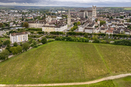 France, Yonne, Auxerre, Clos de la Chaînette vineyards (in the Yonne specialist hospital), Saint-Germain Abbey and Saint-Etienne Cathedral in the background (aerial view)