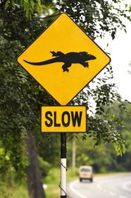 Sri Lanka, province du centre-nord, district de Polonnaruwa, Habarana, panneau routier signalant la présence de varans