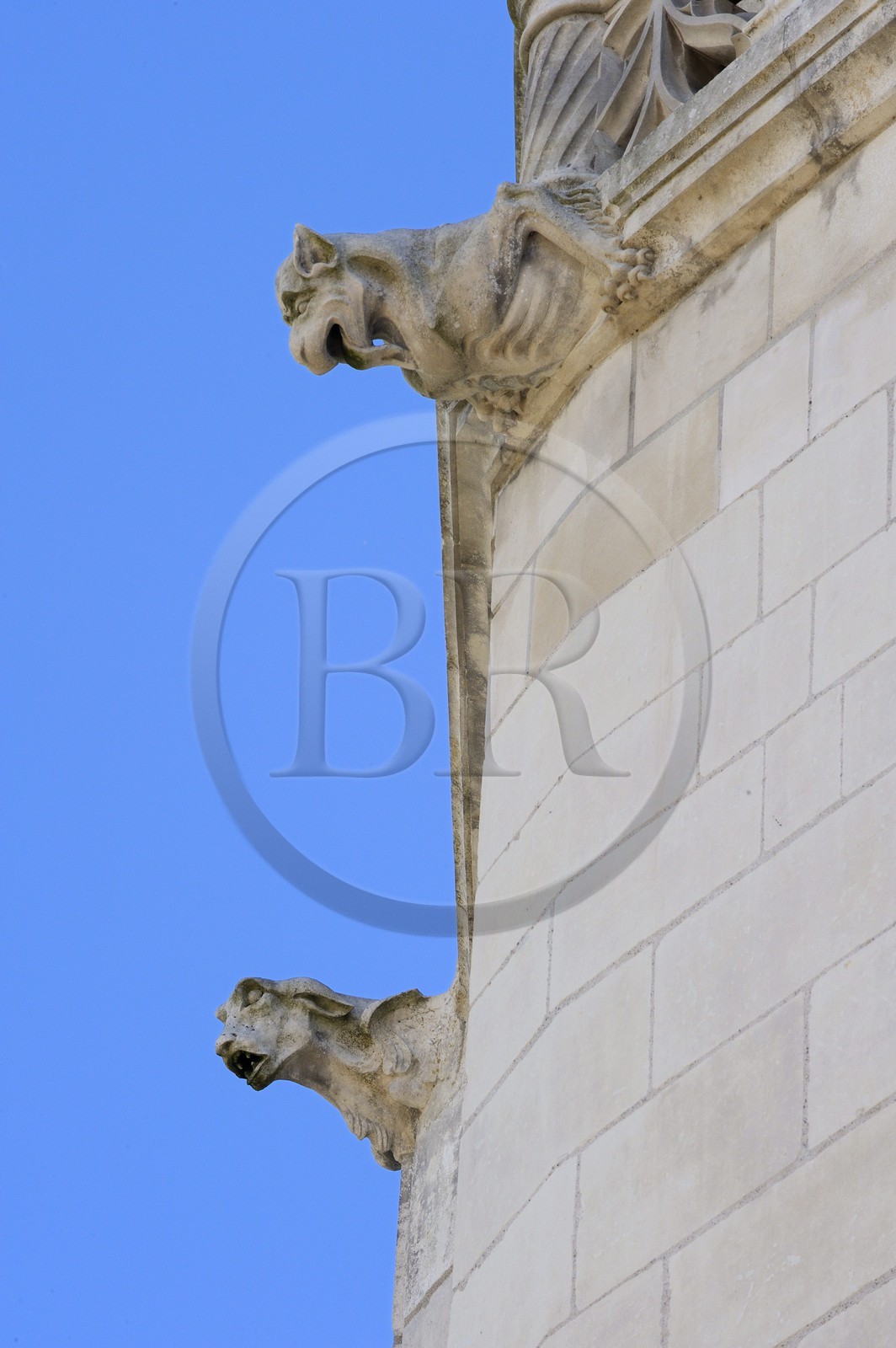 France, Loir-et-Cher (41), Vallée de la Loire classée Patrimoine Mondial de l'UNESCO, château de Chaumont-sur-Loire, gargouilles dans la cour
