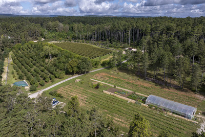 France, Cote d'Or, Climats terroirs of Burgundy listed as World Heritage by UNESCO, Beaune, Clos de la Belle Châtelaine, orchard-garden (aerial view)